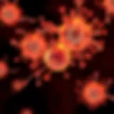 Detailed visualization of monoclonal antibodies binding to target cells