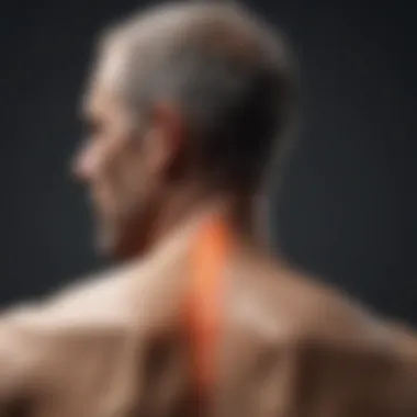 Visual representation of various treatment modalities for neuropathic pain