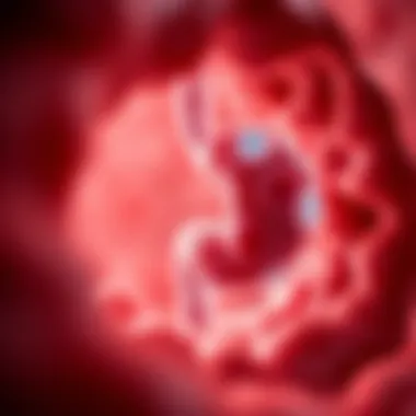 Exploring Innovative Therapies for Pancreatic Duct Carcinoma Innovative therapies in pancreatic cancer treatment