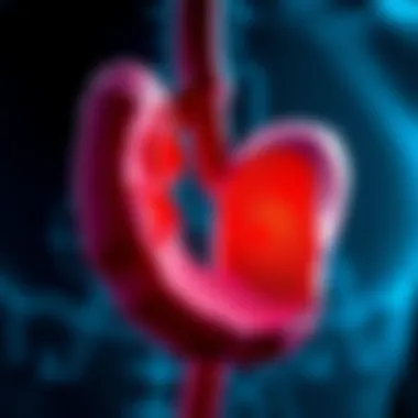 Risk Factors Contributing to Pancreatic Duct Carcinoma Illustration of risk factors associated with pancreatic cancer