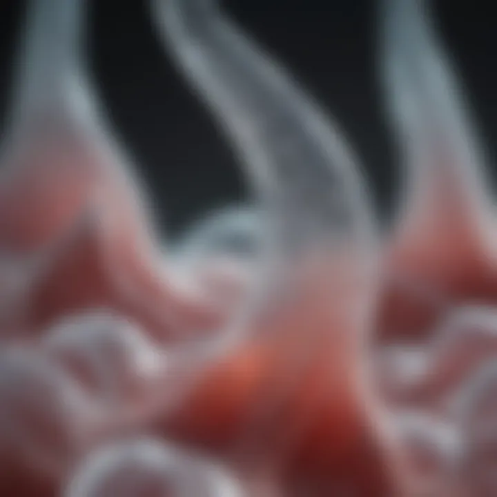 Diagram showcasing tissue engineering techniques
