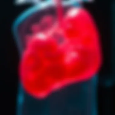 Physiological Changes Induced by Keto Physiological changes from the ketogenic diet