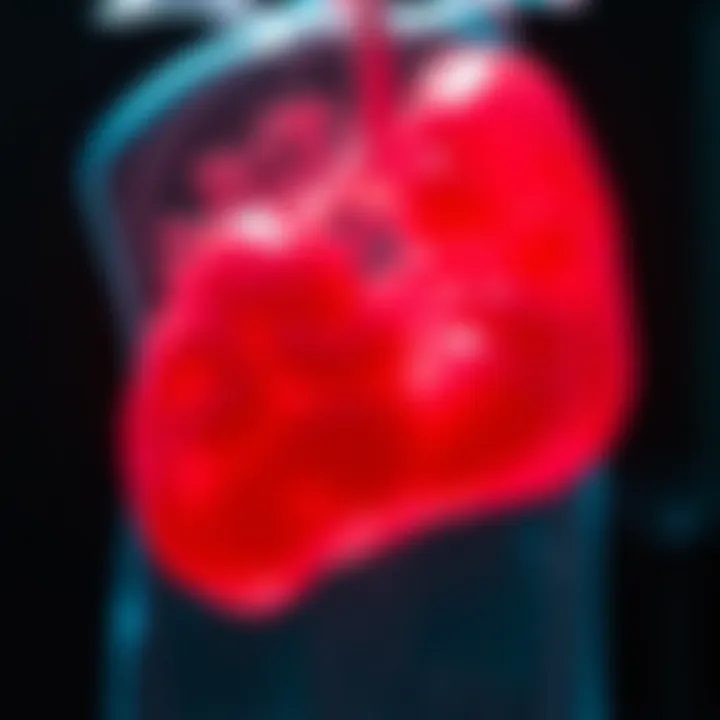 Physiological Changes Induced by Keto Physiological changes from the ketogenic diet