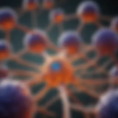 Serotonin Receptor Subtypes and Their Functions Illustration representing serotonin receptor subtypes and their functions
