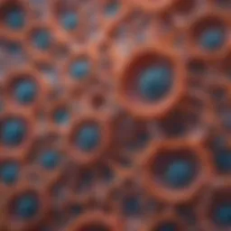 Microscopic view of cellular structures