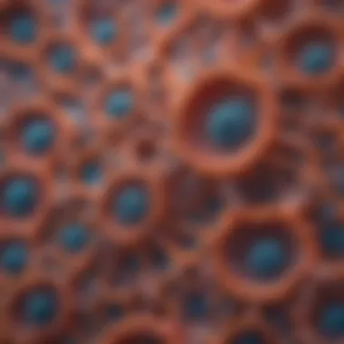 Cellular Structures Under the Microscope Microscopic view of cellular structures