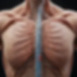 Visual representation of spinal catheter anatomy