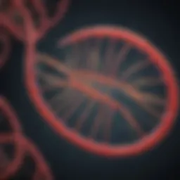 Exploring T7 Endonuclease I: Mechanisms, Applications, and Implications Introduction