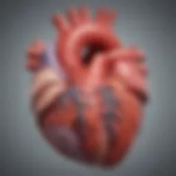 Illustration depicting the heart's anatomy with focus on left ventricular dysfunction.