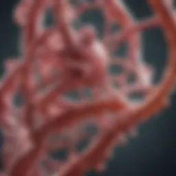 Exploring the Cas9 Protein KDa: Structure, Function, and Applications Introduction