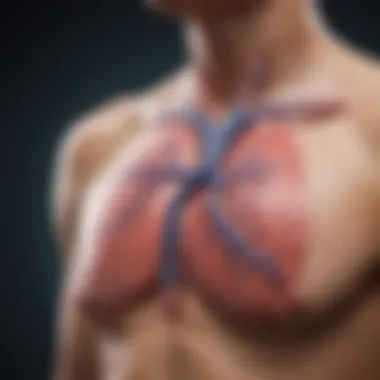 Therapeutic Strategies for Managing Pericardial Effusion Visual representation of treatment options for pericardial effusion