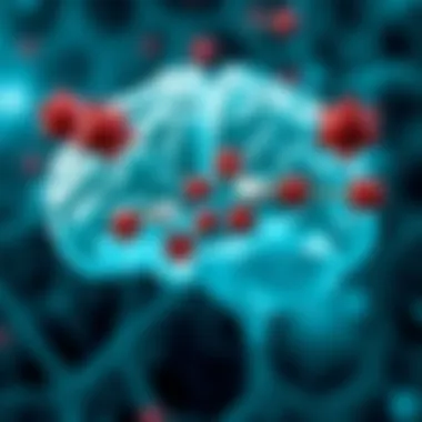 Visual representation of the mechanisms of action of SSRIs and SNRIs in the brain.