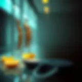 Visual representation of the spectrum of body weight classifications