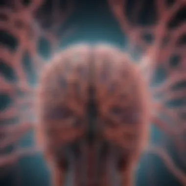 Neurobiology Behind Bipolar Disorder Neurobiological pathways in bipolar disorder