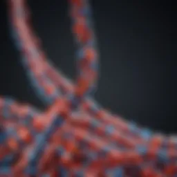 Genetic markers associated with obesity