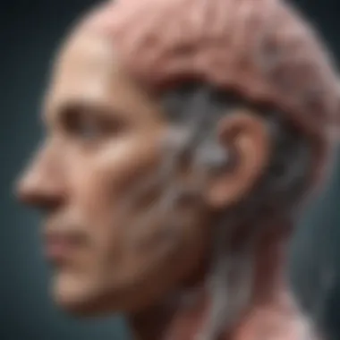 Future Directions in Gut-Brain Research Conceptual illustration of future research directions in gut-brain studies