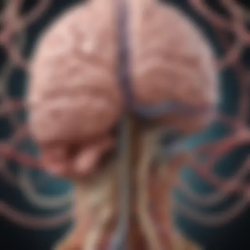 Illustration of the gut-brain axis highlighting the interconnected pathways