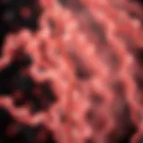 Illustration of X-linked inheritance patterns