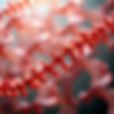 Visual representation of physiological roles of X-linked genes