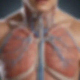 Illustration depicting the physiological interactions between bradycardia and COPD.