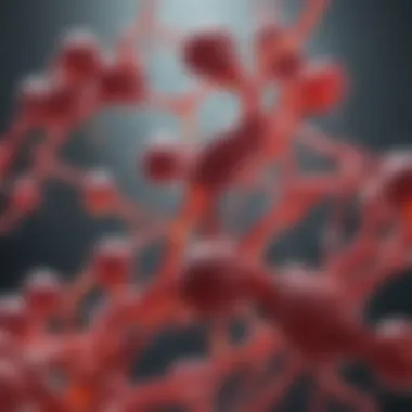 Nitric Oxide Signaling in HSV Infection Visual representation of nitric oxide signaling pathways in herpes simplex virus infection