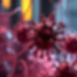 Understanding T Cell Activation Mechanisms Mechanisms of T Cell Activation