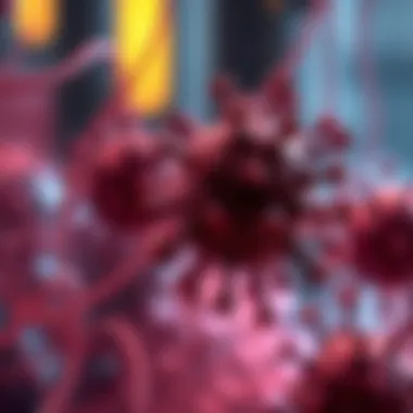 Understanding T Cell Activation Mechanisms Mechanisms of T Cell Activation