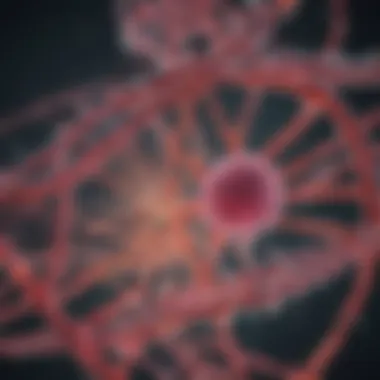 Diagram illustrating RNA interference mechanisms