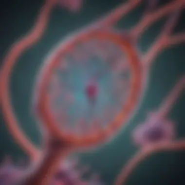 eGFP Localization in Cells Visualization of eGFP in cellular structures