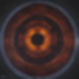Visualization of PET scan results in prostate cancer detection