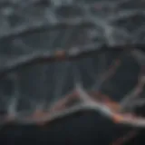 Illustration of sigma bonds in carbon nanotubes