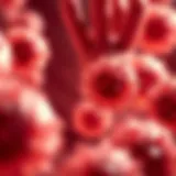 Diversity in Cell Line Cultures Diverse breast cancer cell line cultures