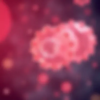 Cell Proliferation Dynamics Microscopic view of cell proliferation