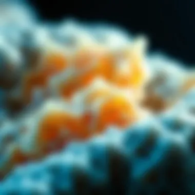 Materials in Thermochemical Storage Innovative materials used in thermochemical storage systems