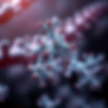 Molecular Insights into c9orf72 Mutations Molecular structure associated with c9orf72 mutations