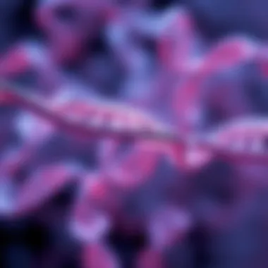 Recent Advances in c9orf72 Research Research findings on c9orf72 gene