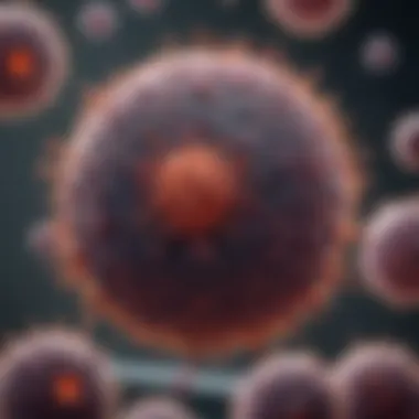 Tumor Infiltrating Lymphocytes as Biomarkers in Cancer Therapy Infographic on the potential of tumor infiltrating lymphocytes as biomarkers in cancer therapy