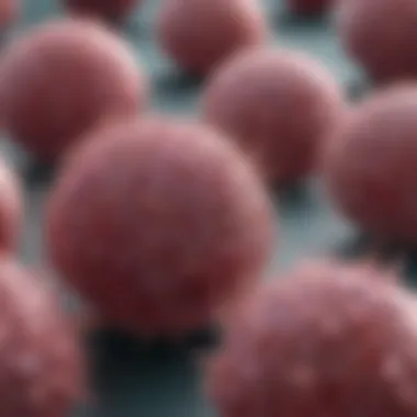 Classification of Tumor Infiltrating Lymphocytes Illustration depicting the classification of tumor infiltrating lymphocytes
