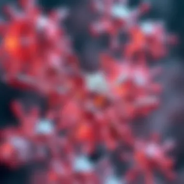 Transformative Role of Upconversion in Biomedicine Biomedicine applications of upconversion