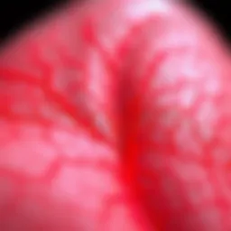 Detailed illustration of vein patterns