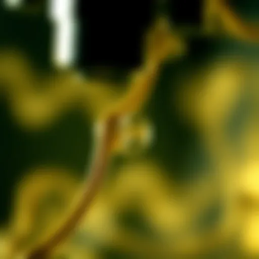 Genetic Mutations Under the Microscope Microscopic view of genetic material highlighting mutations