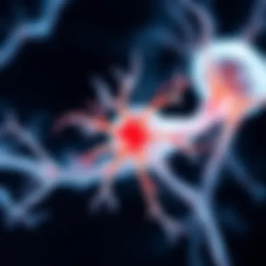 Visualization of Nerve Regeneration After Surgery A visualization of nerve regeneration after surgical intervention