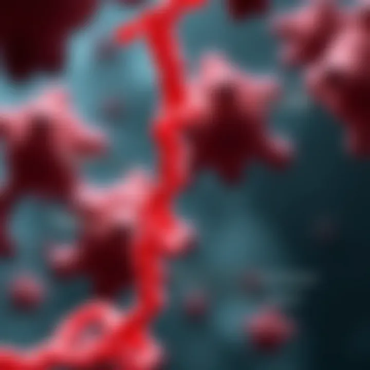 Effects of Mutations on Factor 8 Diagram showing the impact of mutations in the Factor 8 gene.