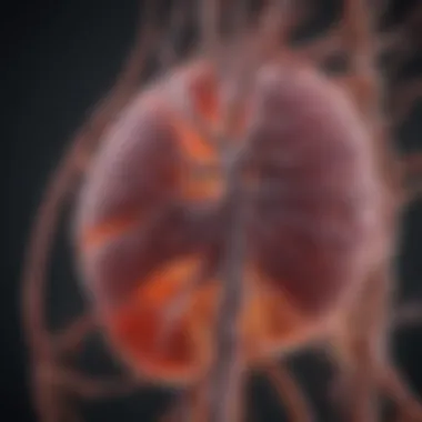 Understanding Biochemical Pathways in Liver Enzyme Regulation Biochemical pathways influencing liver function