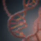 Close-up of DNA helix showcasing nucleotide sequences