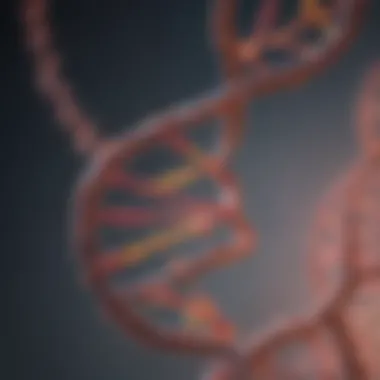 Close-up of DNA helix showcasing nucleotide sequences