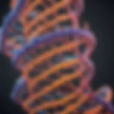 Illustration of RNA polymerase binding to DNA