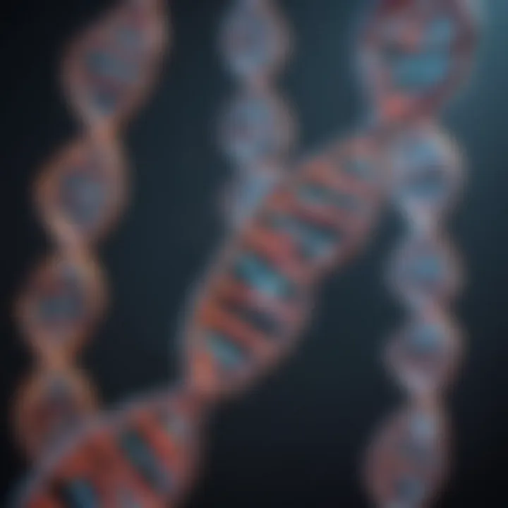 Diagram illustrating transcription process from DNA to RNA