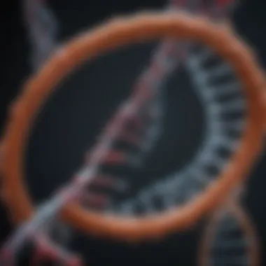 The Elegant Structure of DNA Structural representation of DNA double helix
