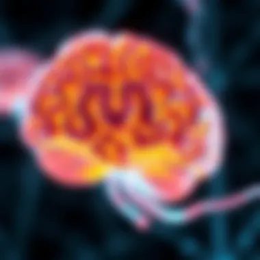 Applications of fura imaging in neurobiology research